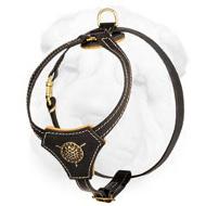 Exclusive Leather Harness for Shar Pei Puppies