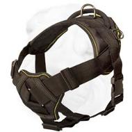 Durable Nylon Harness with Chest Plate for Multipurpose Use