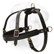 Light Weight Leather Harness Great for Pulling/Tracking/Walking