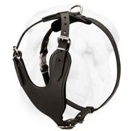 Durable Leather Harness with Y-shaped Chest Plate for Training and Walking