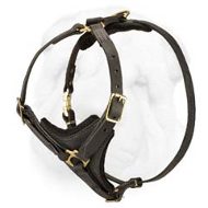 Walking/Tracking Shar Pei Dog Harness Comfortable for Prolonged Work
