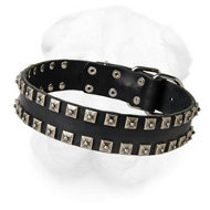 Shar-Pei Collar with "Caterpillar" Decoration