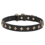 Trendy Leather Collar with Brass Stars