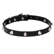 Genuine Leather Collar with Chrome Plated Pyramids