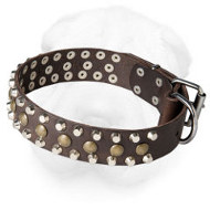 Genuine Leather Shar Pei Collar with Brass and Nickel Studs