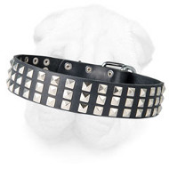 Stylish Shar Pei Collar with Nickel Studs