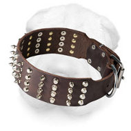 Wide Leather Shar Pei Collar with Spikes and Pyramids