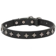 Leather Collar with Nickel Plated Stars