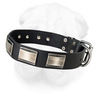 Leather Dog Collar with Original Silver Shining Plates for Shar Pei