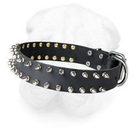 Genuine Leather Shar Pei Collar with Shining Nickel Spikes