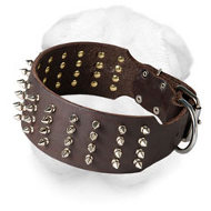 Extra Wide Shar Pei Collar with Glittering Spikes