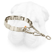 Neck Tech Collar for Shar Pei Behavior Correction