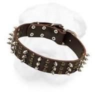 Extra Wide Leather Buckle Collar with Spikes and Studs Arranged into Interchanging Columns