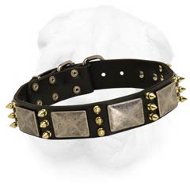 Shar-Pei Collar Decorated with Old Nickel Massive Plates and Brass Spikes