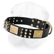 Shar-Pei Collar with Old Brass Plates, Pyramids and Spikes