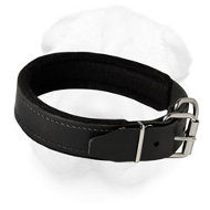 Shar Pei Padded Leather dog collar with thick felt- C24