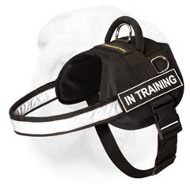 Nylon Shar Pei Harness with Reflective Trim and ID Patches for Work in Different Terrains