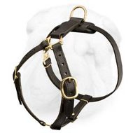 Tracking/Walking Leather Dog Harness with Brass Fittings for Shar Pei Breed