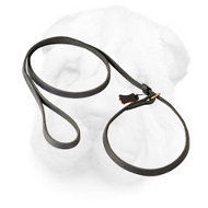 Genuine Leather Shar Pei Leash + Collar Combo