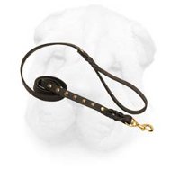 Stylish Leather Leash for Shar Pei Activities