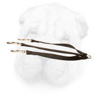 Nylon Shar Pei Puppy Triple Leash