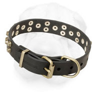 Leather Shar-Pei Collar Decorated with Brass Pyramids