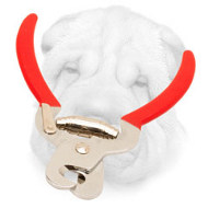 Safe Nail Trimmer for Shar Pei