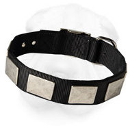 Nylon Shar-Pei Collar with Nickel Plates