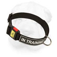 Multipurpose Shar Pei Nylon Collar with Quick Release Buckle and Identification Patches