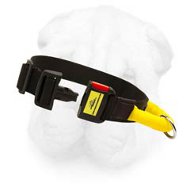 All Weather Nylon Collar with Wide Handle and Quick Release Buckle for Shar Pei