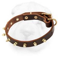 Creative Shar-Pei Collar with Brass Spikes