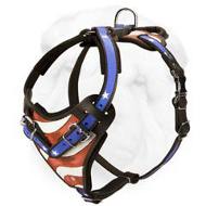 Catching Heavy Duty Leather Harness for Shar Pei Breed