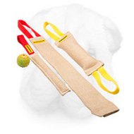 Sharpei Puppy Training Set With Great Training Toy