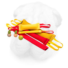 French Linen Bite Set for Shar Pei Activities