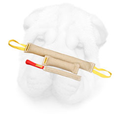 Safe Jute Bite Set for Shar Pei Activities