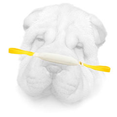 Fire Hose Shar Pei Bite Tug Equipped with Two Handles