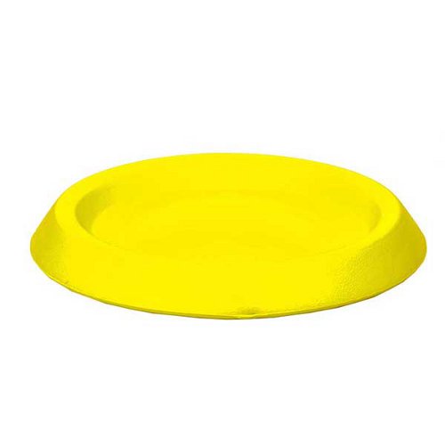 Shar Pei Flying Disk for Retrieve Training