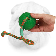  Foam Shar Pei Training Ball Equipped with Bright Rope