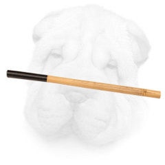 Training Stick for Shar Pei
