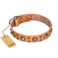 'Extra Sparkle' FDT Artisan Handcrafted Sharpei Tan Leather Dog Collar