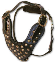 Two-Ply Latigo Dog Harness with Studs for Sharpei