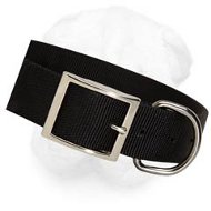 2 Ply Nylon Extra Wide Shar Pei Collar for All-Weather Use