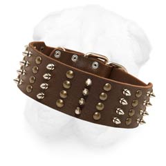 Extra Wide Spiked-Studded Leather Collar for Shar Pei 2 2/5 inch (60 mm) Wide