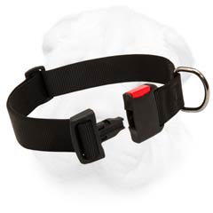 Strong Nylon Collar for Shar Pei with Quick Release Buckle