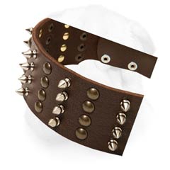 2 2/5 inch (60 mm) Wide Shar Pei Leather Collar with Sharp Spikes and Rounded Studs
