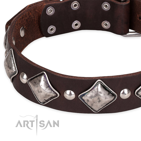 Quick to fasten leather dog collar with extra strong chrome plated buckle