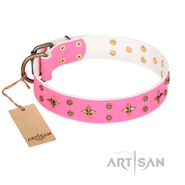 Incredible full grain leather dog collar for handy use
