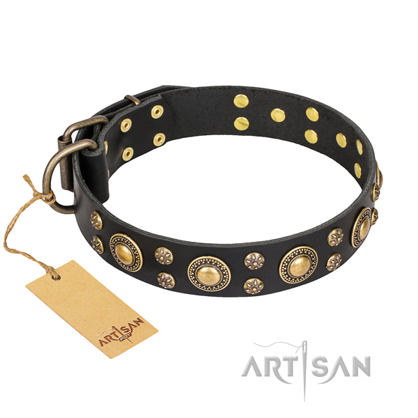 Impressive full grain natural leather dog collar for everyday walking
