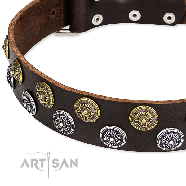Genuine leather dog collar with inimitable adornments