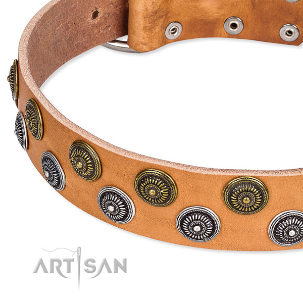 Genuine leather dog collar with inimitable adornments